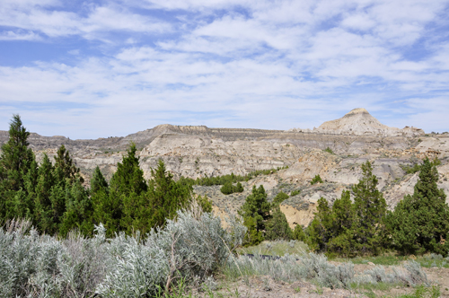 Montana's Makoshika State Park